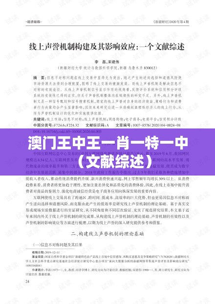澳门王中王一肖一特一中（文献综述）