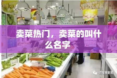 卖菜热门，卖菜的叫什么名字 