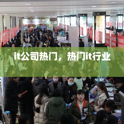 it公司热门，热门it行业 