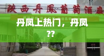 尽心尽力 第2页