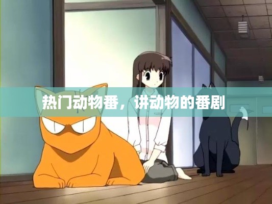 热门动物番，讲动物的番剧 