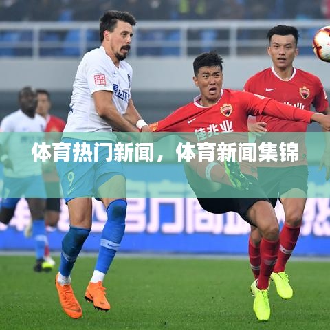 体育热门新闻，体育新闻集锦 