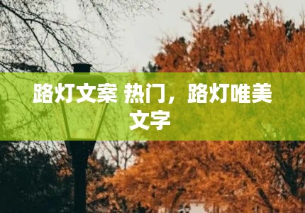 路灯文案 热门，路灯唯美文字 