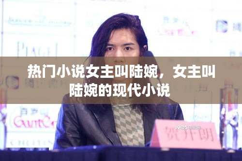 热门小说女主叫陆婉，女主叫陆婉的现代小说 