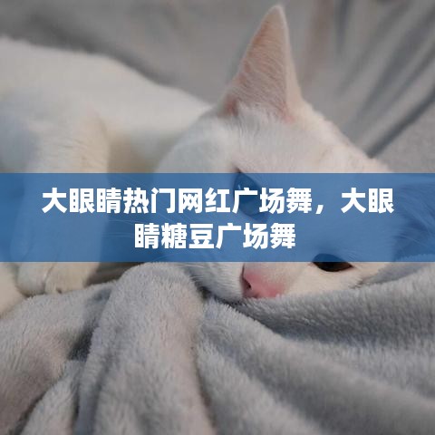 大眼睛热门网红广场舞，大眼睛糖豆广场舞 