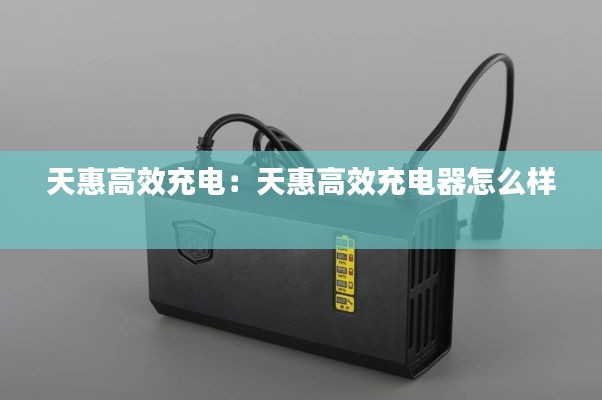 天惠高效充电：天惠高效充电器怎么样 