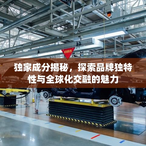 独家成分揭秘，探索品牌独特性与全球化交融的魅力