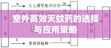 室外高效灭蚊药的选择与应用策略