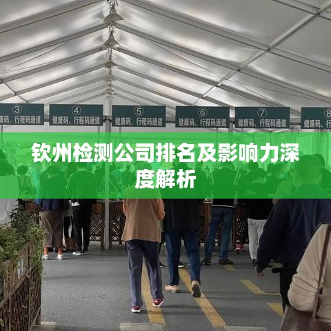 钦州检测公司排名及影响力深度解析