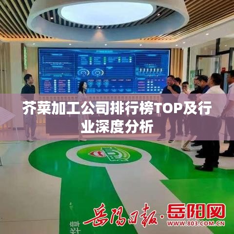 芥菜加工公司排行榜TOP及行业深度分析