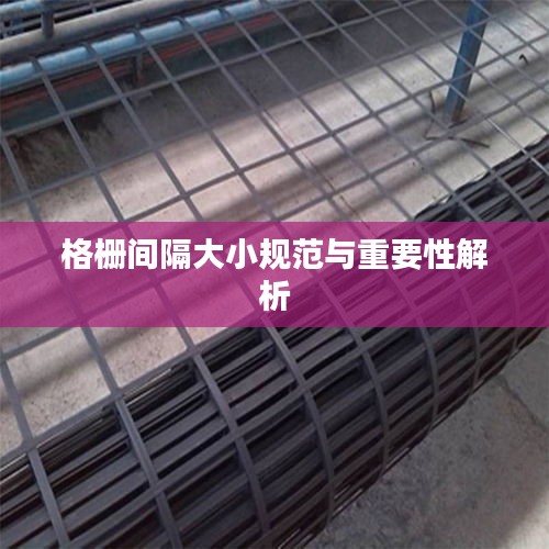 笨鸟先飞 第2页