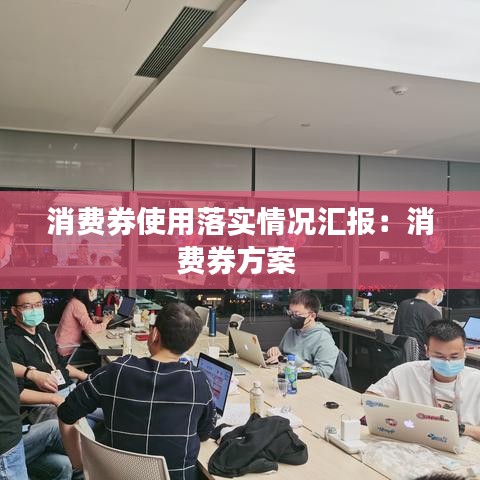 消费券使用落实情况汇报：消费券方案 