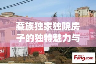 藏族独家独院房子的独特魅力与文化探秘