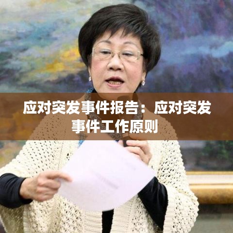 应对突发事件报告：应对突发事件工作原则 