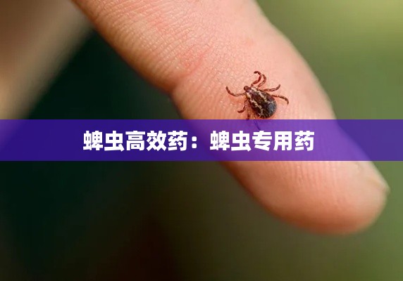 蜱虫高效药：蜱虫专用药 