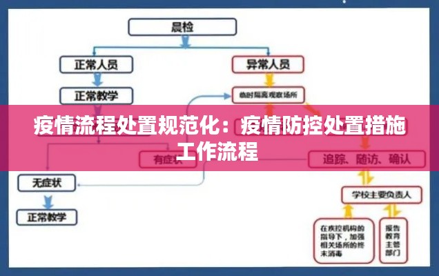 疫情流程处置规范化：疫情防控处置措施工作流程 