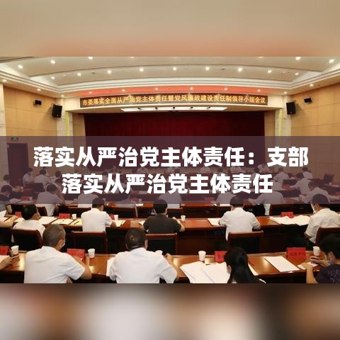 落实从严治党主体责任：支部落实从严治党主体责任 