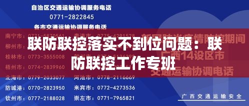 联防联控落实不到位问题：联防联控工作专班 