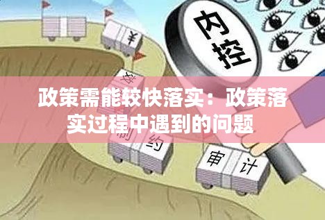 政策需能较快落实：政策落实过程中遇到的问题 