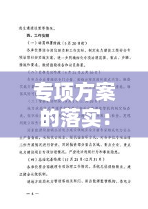 专项方案的落实：专项方案包括几个方面 