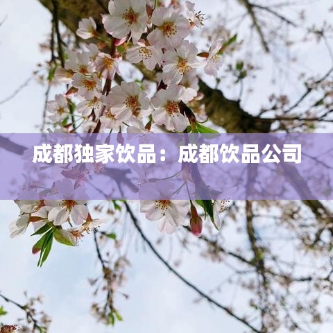 成都独家饮品：成都饮品公司 