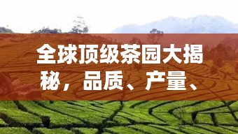 全球顶级茶园大揭秘，品质、产量、影响力大比拼！