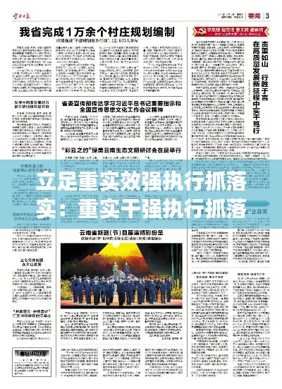立足重实效强执行抓落实：重实干强执行抓落实发言材料 