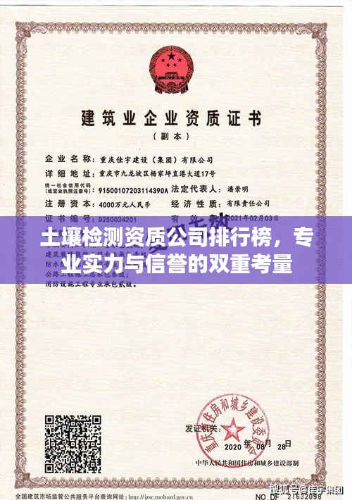 土壤检测资质公司排行榜，专业实力与信誉的双重考量