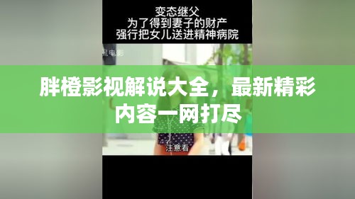 胖橙影视解说大全，最新精彩内容一网打尽