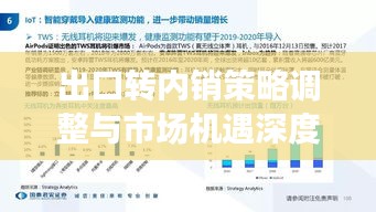 出口转内销策略调整与市场机遇深度解析