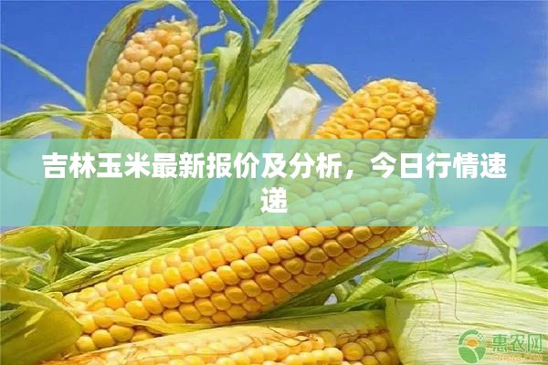 刻画入微 第2页