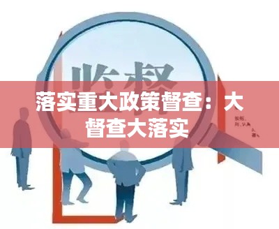 落实重大政策督查：大督查大落实 