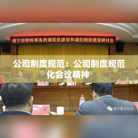 公司制度规范：公司制度规范化会议精神 