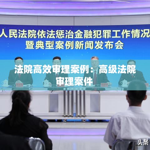 法院高效审理案例：高级法院审理案件 