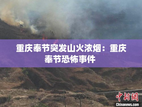 重庆奉节突发山火浓烟：重庆奉节恐怖事件 