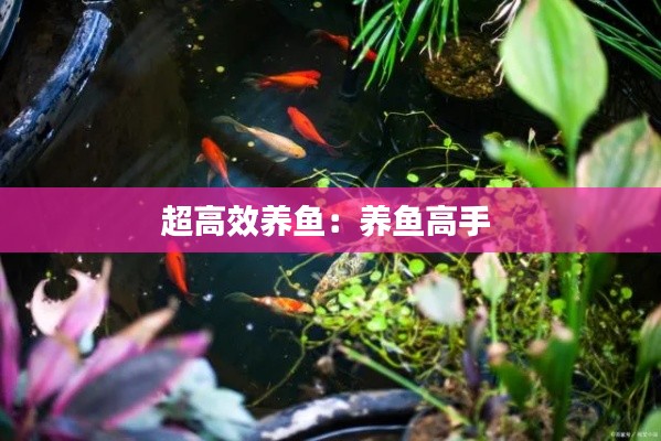 超高效养鱼：养鱼高手 