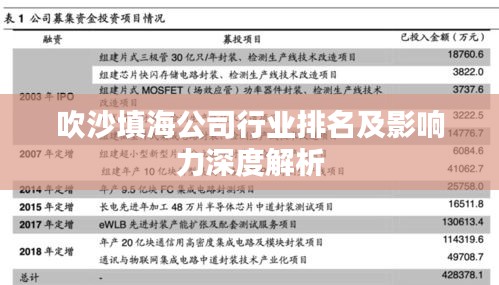 吹沙填海公司行业排名及影响力深度解析