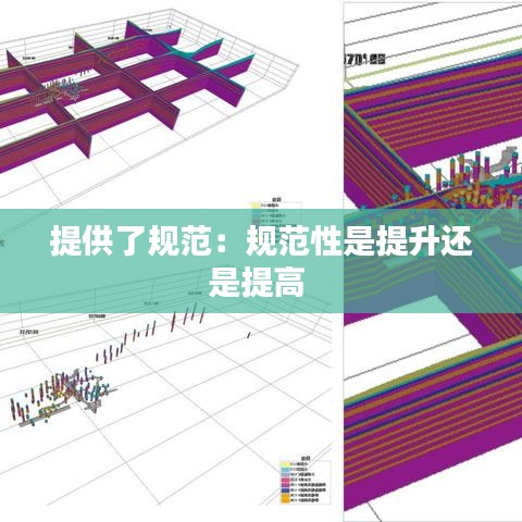 提供了规范：规范性是提升还是提高 