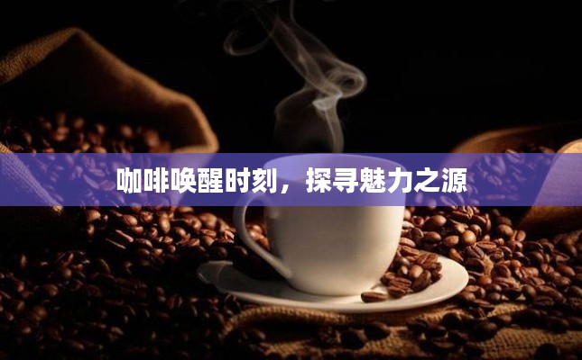 咖啡唤醒时刻，探寻魅力之源