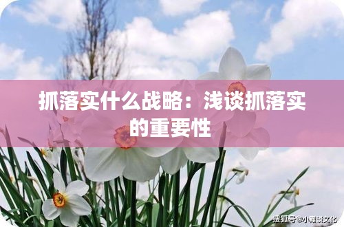 抓落实什么战略：浅谈抓落实的重要性 