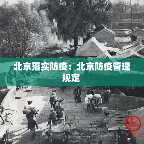 北京落实防疫：北京防疫管理规定 