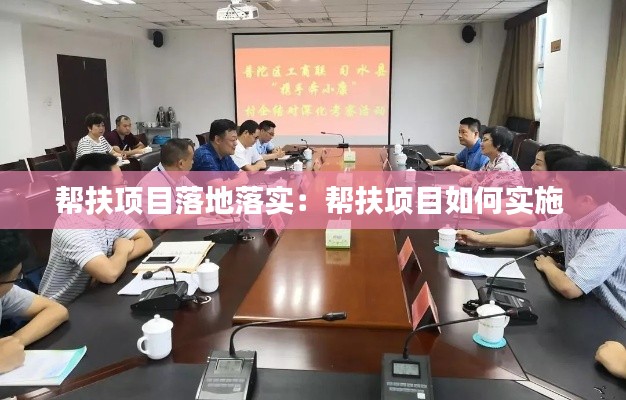 帮扶项目落地落实：帮扶项目如何实施 