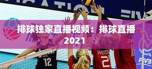 排球独家直播视频：排球直播2021 