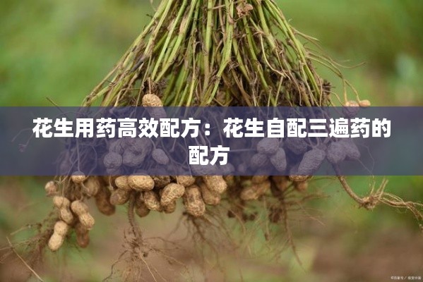 刚毅木讷 第2页
