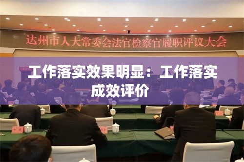 工作落实效果明显：工作落实成效评价 