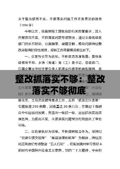整改抓落实不够：整改落实不够彻底 
