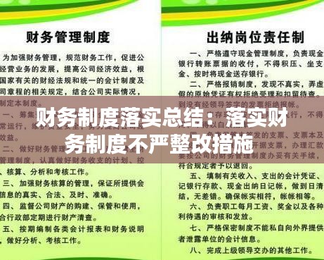 财务制度落实总结：落实财务制度不严整改措施 
