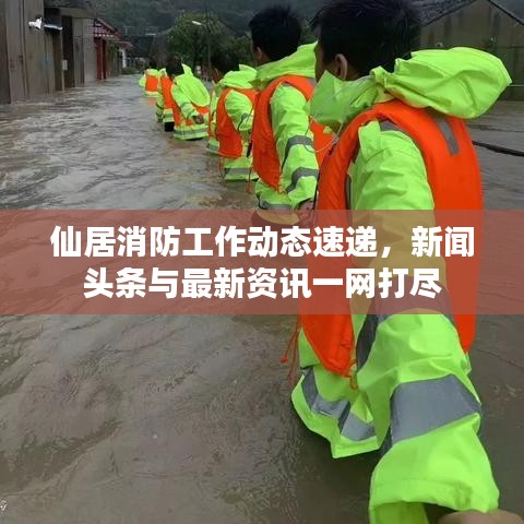仙居消防工作动态速递，新闻头条与最新资讯一网打尽