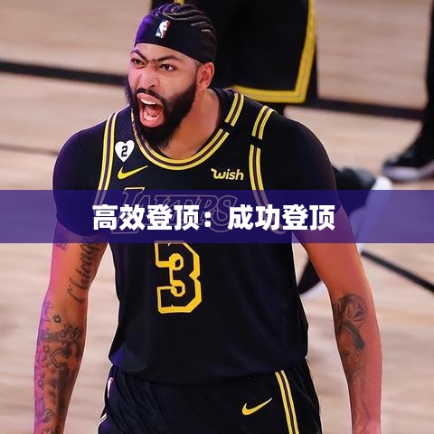 高效登顶：成功登顶 