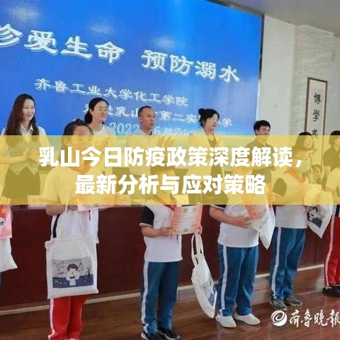 乳山今日防疫政策深度解读，最新分析与应对策略